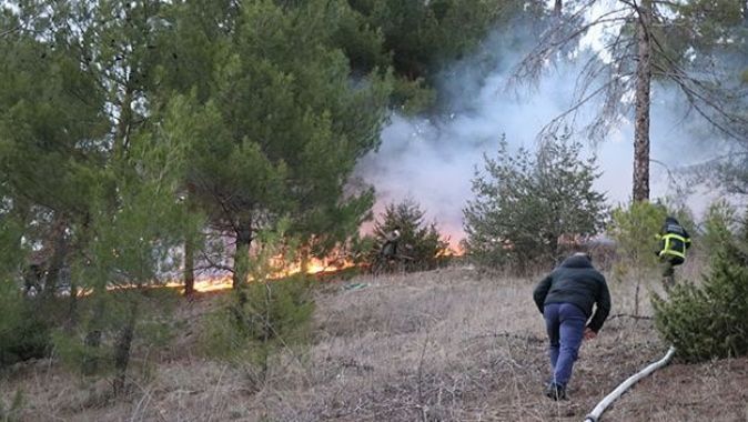 Adana&#039;da çıkan orman yangınında 2 dönüm alan yandı