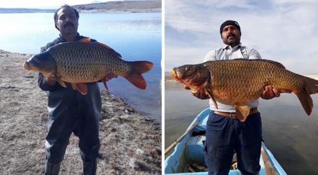Baraj gölünde 150 santim uzunluğunda balık yakaladılar