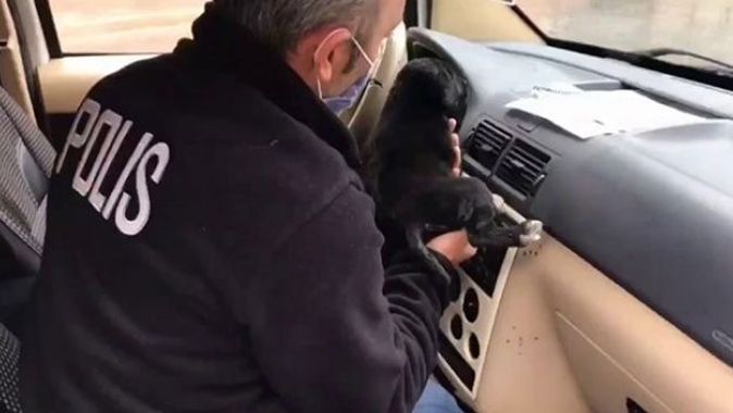 Donmak üzere olan yavru köpeğin yardımına polis yetişti