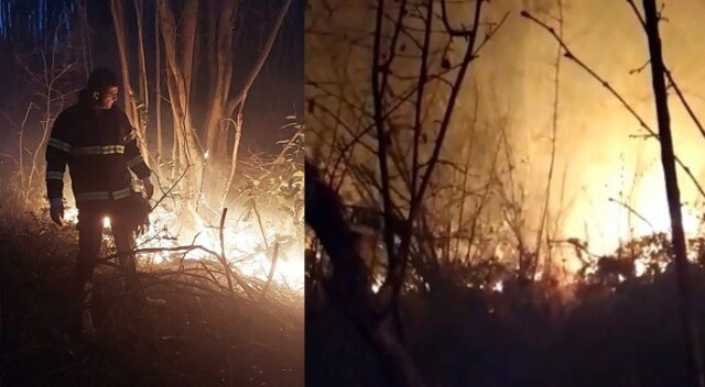 Düzce&#039;de çıkan orman yangınında 20 dönümlük kül oldu