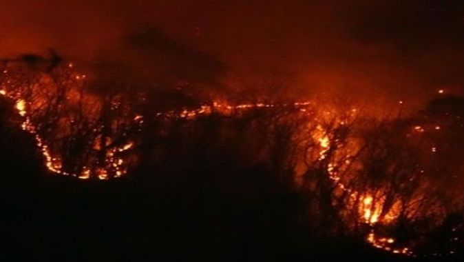 Japonya&#039;da yangın felaketi! 100 hektarlık ormanlık alan zarar gördü