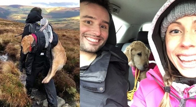 Kayıp köpeği dağın zirvesinde donmaktan kurtardılar