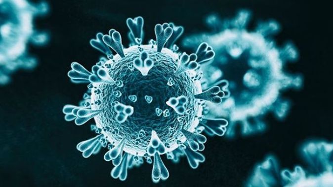 Korkutan iddia: ABD&#039;de koronavirüsün 7 farklı mutasyonu görüldü