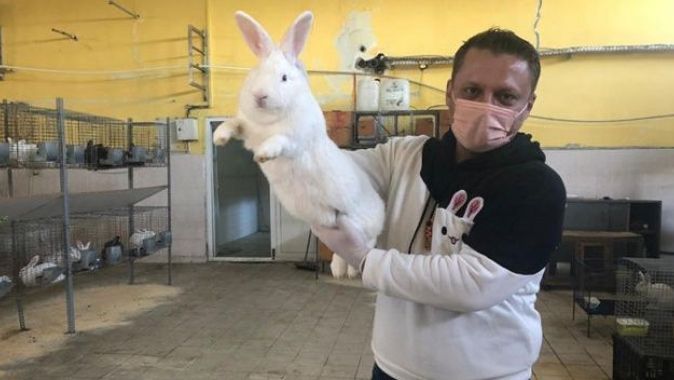 Öğretmenliği bırakıp tavşan çiftliği kurdu