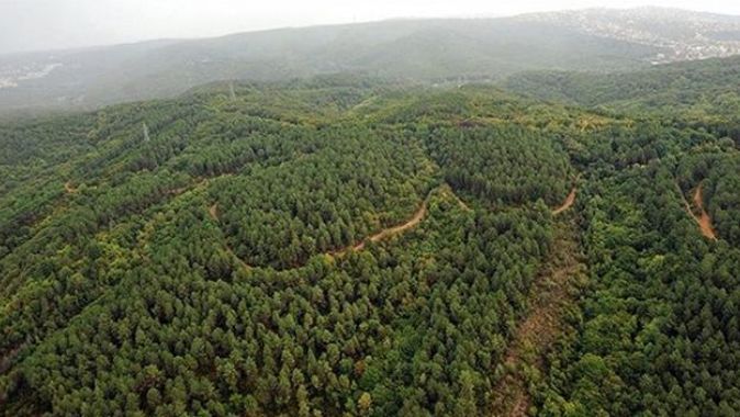Türkiye&#039;nin orman varlığını artırma ve ağaçlandırmadaki başarısı BM tarafından da tescillendi
