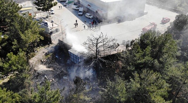 Bodrum&#039;da büyük panik! Kaynak yaparken ormanı yaktılar