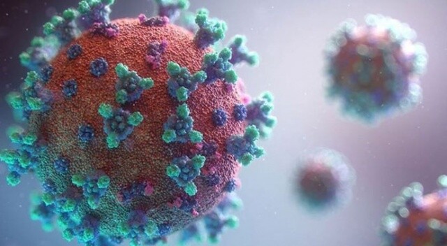 Mutant virüse karşı daha titiz davranılması uyarısı