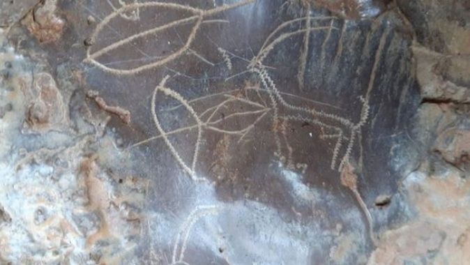 Mersin&#039;de mağara duvarlarına çizilmiş hayvan figürleri bulundu