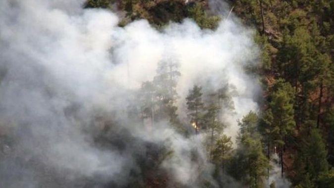 Muğla’da iki farklı noktada orman yangını çıktı