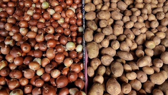 Patates ve soğanda stok artışına bakanlıktan karşı adım