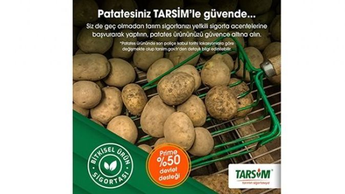 TARSİM: &#039;Patates ürününüz güvende&#039;