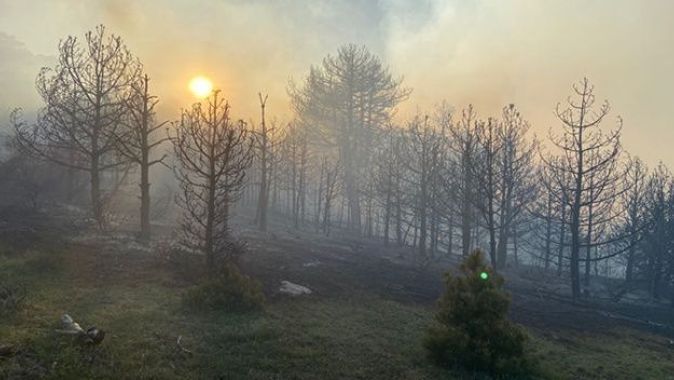 Eskişehir&#039;de orman yangını çıktı