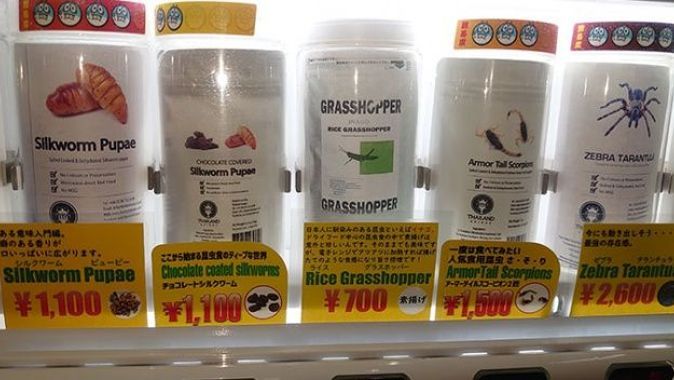 Japonya&#039;da atıştırmalık böcek satan otomata büyük ilgi