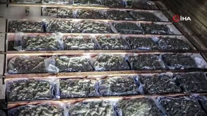 Karnabahar tırında 1 milyon euroluk marihuana ele geçirildi