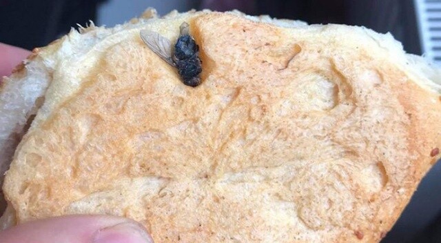 Tekirdağ&#039;da mide bulandıran olay: Ekmekten sinek çıktı
