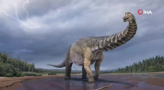 Avustralya kıtasının en büyük dinozoru keşfedildi