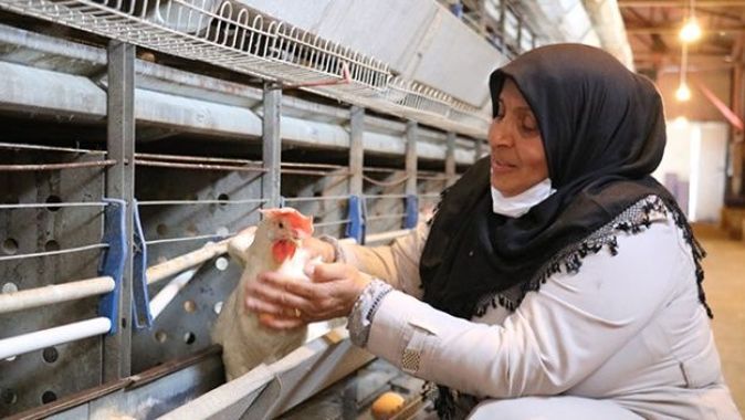 Bakan Pakdemirli tavukları telef olan kadına destek