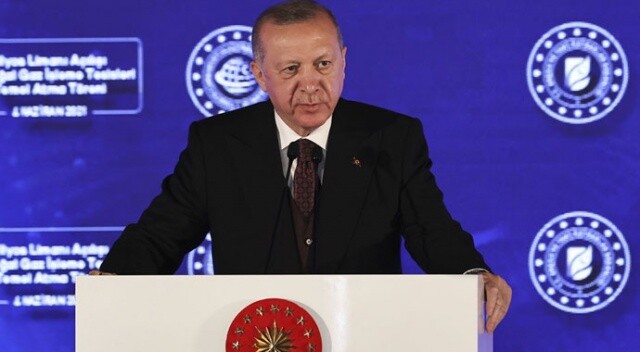 Cumhurbaşkanı Erdoğan: Amasra -1 kuyusunda doğal gaz keşfi