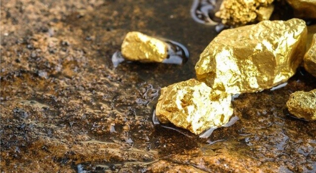 Kongo&#039;da 1,9 milyon dolarlık altın ele geçirildi