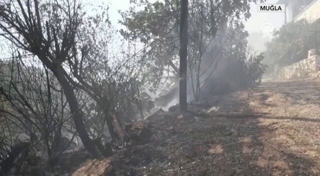 Muğla&#039;da korkutan orman yangını