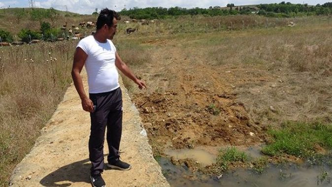 Ömerli Barajı&#039;nda korkutan iddia: Ölen balıklar toprağa gömülüyor