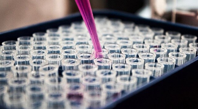 Pfizer–BioNTech aşısı Hindistan varyantına karşı “daha az etkili”
