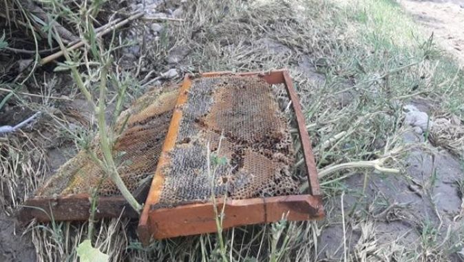 Sel nedeniyle 400 kovan arı telef oldu