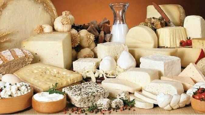 Türkiye’nin 300 çeşit peyniri var