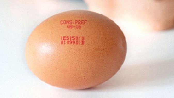 Yumurta seçerken kod numarasına dikkat