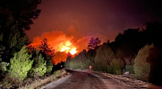 Akseki&#039;de orman yangını: 1 kişi hayatını kaybetti