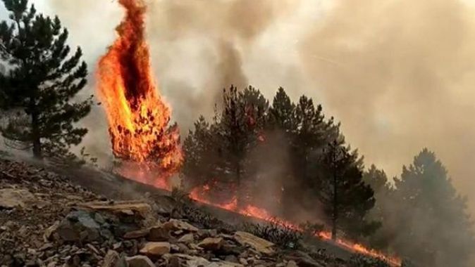 Elazığ&#039;da orman yangını çıktı, çok sayıda ekip müdahale ediyor