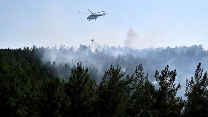 Osmaniye&#039;deki orman yangının sebebi belli oldu: Gözaltılar var