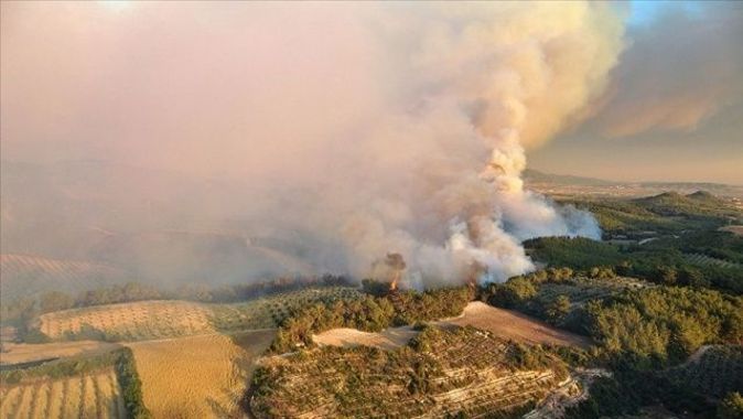 Osmaniye&#039;deki orman yangınıyla ilgili 5 şüpheli gözaltına alındı