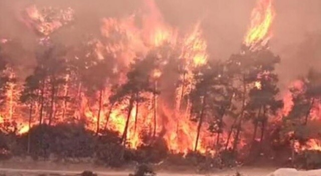 Tarım ve Orman Bakanlığı yangınların son durumunu açıkladı