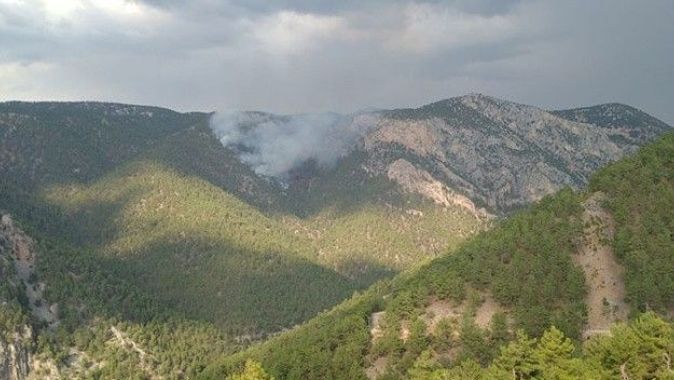 Adana&#039;da orman yangını! Müdahale sürüyor