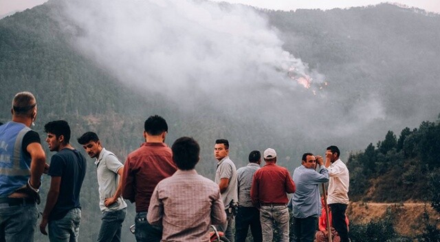 Aydın Valisi Aksoy: Karacasu&#039;daki yangında 450 hektar alan zarar gördü