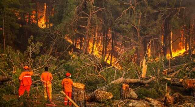 Bakanlar orman yangınlarıyla ilgili son durumu açıkladı