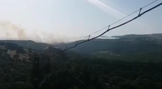 Balıkesir Savaştepe&#039;de orman yangını çıktı