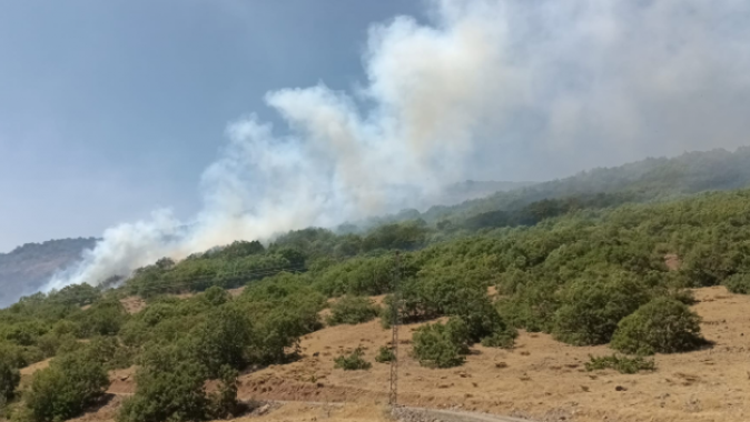 Bingöl&#039;de orman yangını! Müdahale devam ediyor