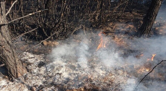 Çanakkale’de orman yangını: &#039;Sıkıntılı bir durumumuz yok&#039;