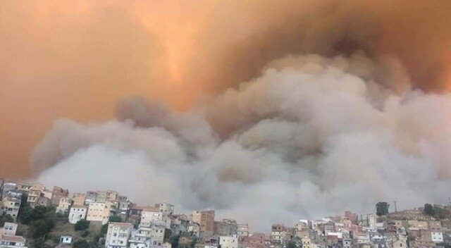 Cezayir&#039;de 31 noktada orman yangını çıktı: 4 ölü, 3 yaralı