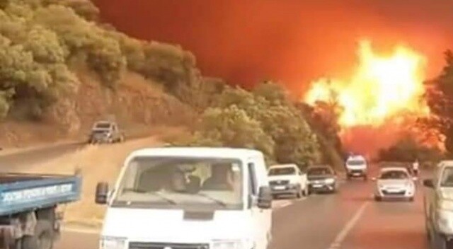 Cezayir&#039;deki orman yangınlarından acı haber!