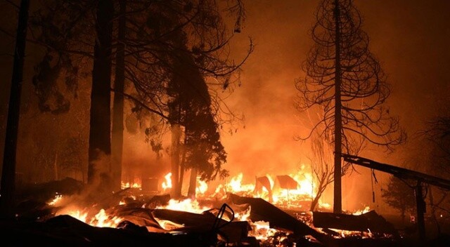 Dikkat çeken araştırma: Orman yangınları, Covid&#039;in yayılmasına yol açtı