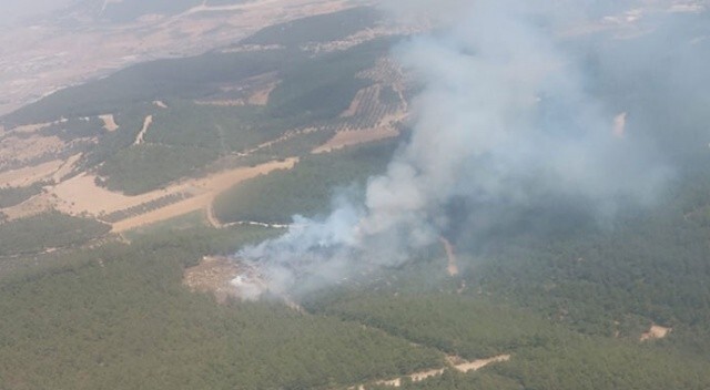 İzmir&#039;in Foça ilçesinde orman yangını