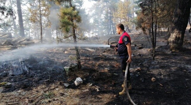 Karacasu’daki yangın sürüyor