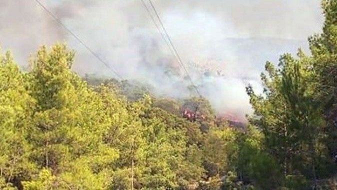 Muğla’da orman yangını! Havadan müdahale ediliyor