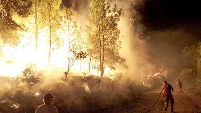 OGM: 134 orman yangını kontrol altına alındı