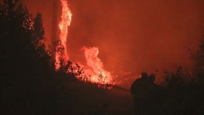 Rusya’da orman yangınları yerleşim alanlarına sıçradı!