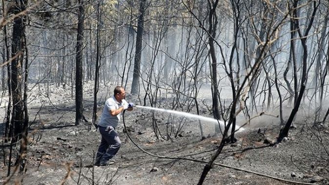 Uşak&#039;taki orman yangını kontrol altına alındı