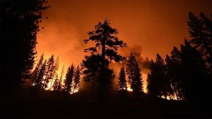 ABD&#039;de yangınlar sürüyor! Dünyanın en büyük ağaçlarını tehdit altında